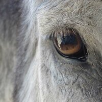 ba2ed45a7d1c5d84abcd09c747a89d37